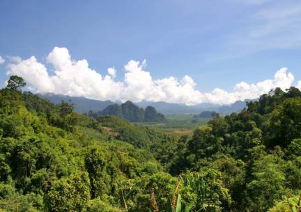 Cultuur en Jungle van Thailand Deluxe