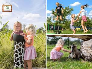Entree Speel en IJsboerderij De Drentse Koe