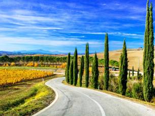 Ontdek het hart van Toscane vanuit Asciano