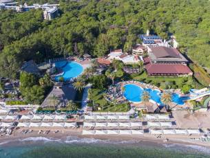 Gypsophila Club Marine