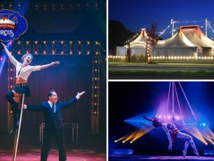 Entree voor The Magical World of Circus