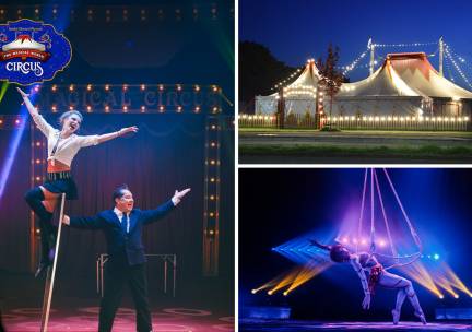 Entree voor The Magical World of Circus