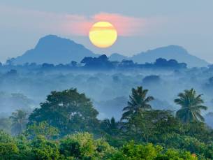 De Jungle van Sri Lanka