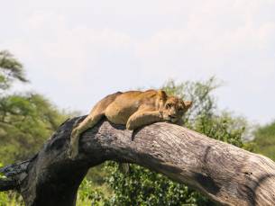 Grand Tour van Krater tot Eindeloze Savannes