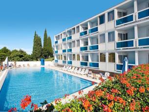 Plavi