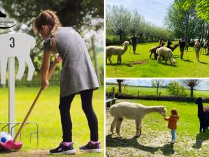 Alpaca-golf of -wandeling + meet & feed
