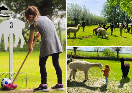 Alpaca-golf of -wandeling + meet & feed