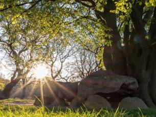 Centraal gelegen hotel in de natuur van Drenthe tussen Assen en Groningen incl. ontbijt