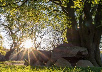 Centraal gelegen hotel in de natuur van Drenthe tussen Assen en Groningen incl. ontbijt