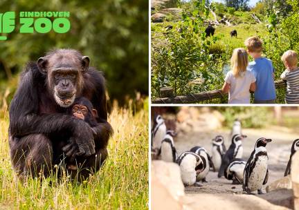 Gehele dag entree tot Eindhoven Zoo (voorheen Dierenrijk)