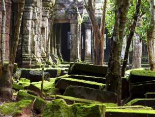Beng Mealea und Banteay Srei Tempel ganztägige private Tour