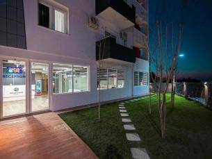 Olivar Tirana