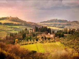 Fly-drive Slapen tussen de olijfbomen