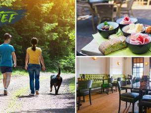 Wandelarrangement incl. warme drank, gebak en lunch bij Vief