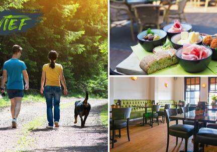 Wandelarrangement incl. warme drank, gebak en lunch bij Vief