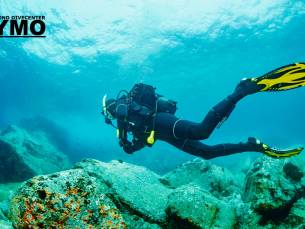 SSI Try Scuba-introductieduik of SSI Scuba Diver-duikcursus (voor 1 of 2 pers.)
