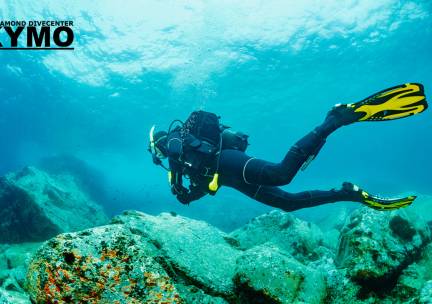 SSI Try Scuba-introductieduik of SSI Scuba Diver-duikcursus (voor 1 of 2 pers.)