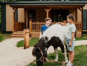 KNALDEAL!⚡️Geniet nu van een midweek of weekend weg op Vakantiepark Dierenbos! Tijdens je verblijf krijg je toegang tot o.a. Beekse Bergen of Eindhoven Zoo!