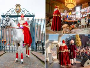 naar keuze voor het Hof van Sinterklaas