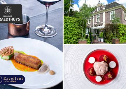 10-gangenlunch of -diner bij sterrenrestaurant 't Raedthuys