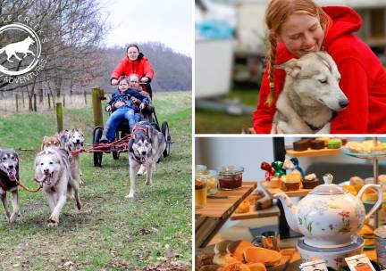 Huskyactiviteit naar keuze