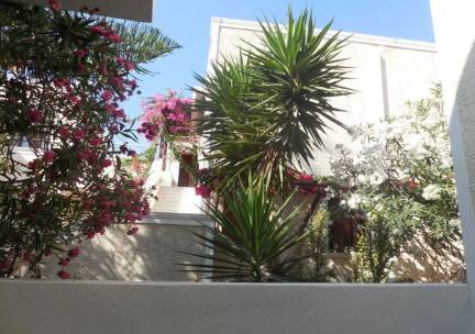 Dolphins Appartementen