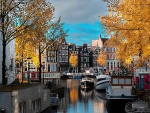 TOPDEAL! ⚡ Verblijf in een luxe 4*-hotel in Amstelveen en ontdek de natuur van het Amsterdamse Bos incl. heerlijk ontbijt!