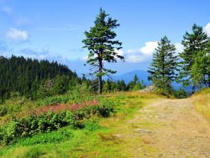 SUPER DEAL! ⚡ 4 dagen in het Beierse Woud o.b.v volpension incl. gastenkaart voor kortingen en leuke extra's!