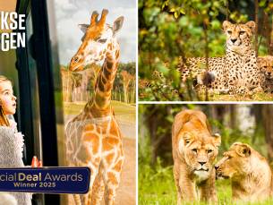 Entree Safaripark Beekse Bergen