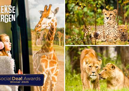 Entree Safaripark Beekse Bergen