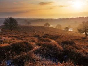 STUNT! ⚡ Ontspan op een prachtig landgoed op de Veluwe incl. ontbijt, 3-gangendiner en GRATIS sauna!