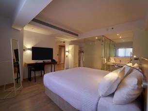 New President Zamalek