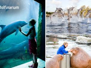 Entree voor het Dolfinarium