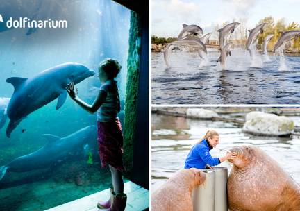 Entree voor het Dolfinarium