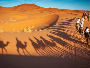 Ontdek Marokko: Rondreis Marrakech, Sahara & Fez incl. vlucht, ontbijt & diner