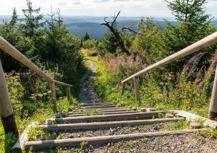 Ontdek het Ertsgebergte vanuit een 4*-berghotel met wellness incl. ontbijt en dagelijks 3-gangendiner