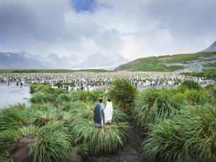 Falkland-Inseln - Südgeorgien - Antarktische Halbinsel