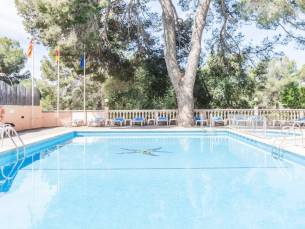 Mallorca ontdekken vanuit El Arenal! Incl. vlucht, ontbijt, halfpension of all-inclusive light