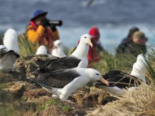 Falkland-Inseln - S&uuml;dgeorgien - Antarktische Halbinsel