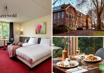 Overnachting(en) voor 2 + ontbijt + late check-out + evt. dinerbuffet in Almen