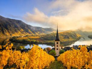 FLASHDEAL! ⚡ 3 dagen tussen Cochem en Trier, in het wijndorpje Ediger-Eller aan de oever van de Moezel incl. ontbijt & GRATIS gebruik OV + parkeren!