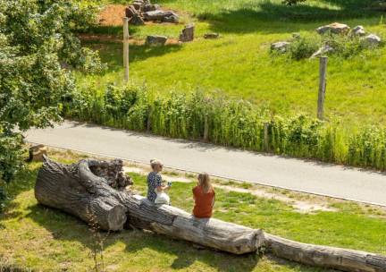 Verblijf Geniet van een 3-daags verblijf in een pittoresk hotel in Zuid-Limburg incl. ontbijt, 1wandel- of fiets lunchpakket en 2diner!