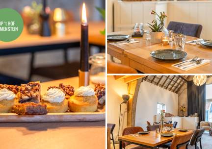 2-gangen high tea (2 uur) bij Op 't Hof Olmenstein