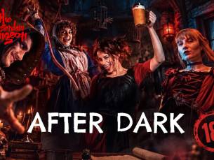 Entree voor unieke The Amsterdam Dungeon After Dark Experience + shotje (18+, ca. 60 min)