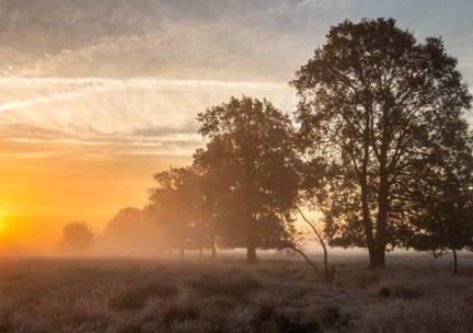 Fietsvakantie rondje Drenthe