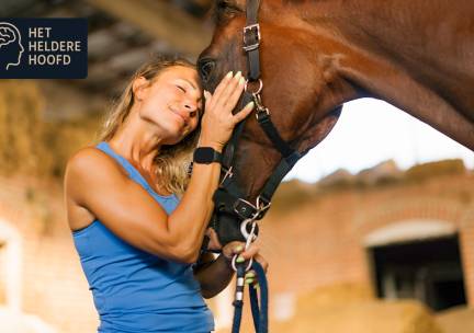 Paardencoaching (60 min)