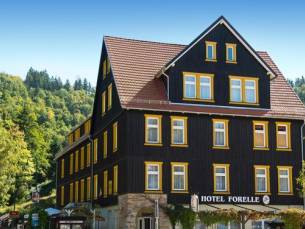 Ferien Hotel Forelle