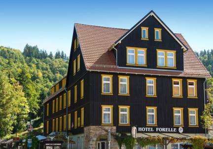 Ferien Hotel Forelle