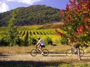 Priv&eacute; fietsreis De Douro Vallei