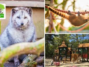 Dagentree voor het Natur- und Tierpark BrÃ¼ggen